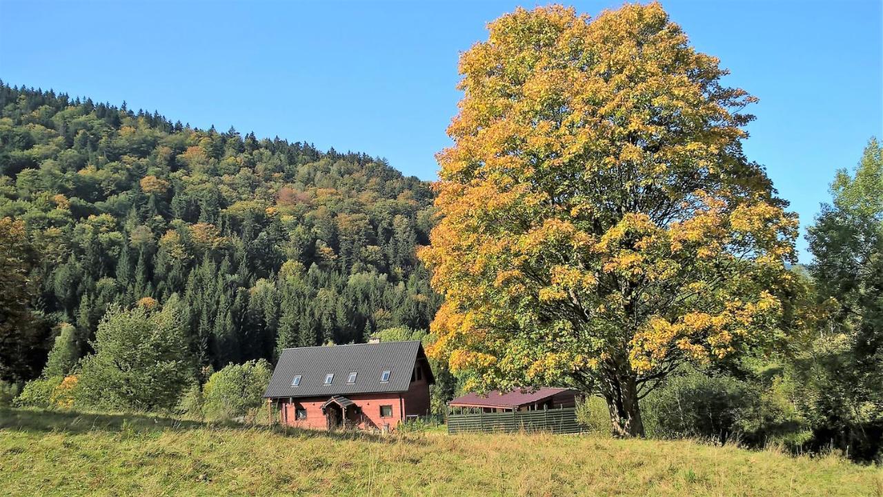 Krolikowka Stronie Slaskie Exterior photo